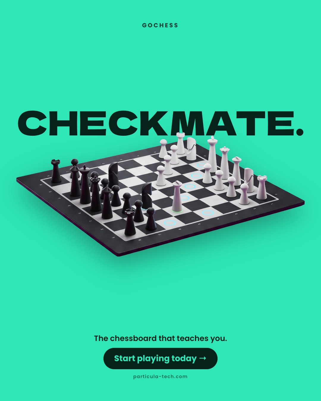 Checkmate.